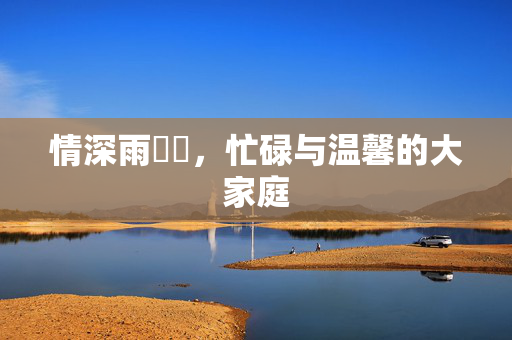 情深雨濛濛，忙碌与温馨的大家庭