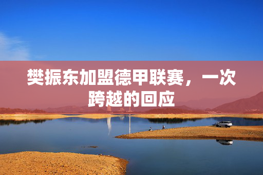 樊振东加盟德甲联赛，一次跨越的回应
