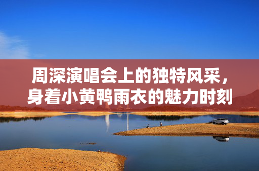 周深演唱会上的独特风采，身着小黄鸭雨衣的魅力时刻