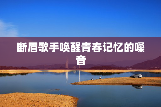 断眉歌手唤醒青春记忆的嗓音