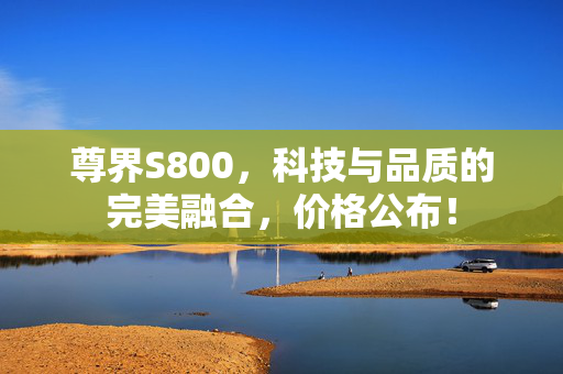 尊界S800，科技与品质的完美融合，价格公布！