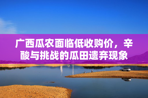 广西瓜农面临低收购价，辛酸与挑战的瓜田遗弃现象