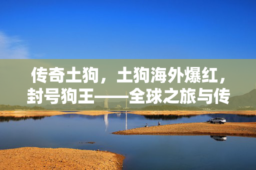 传奇土狗，土狗海外爆红，封号狗王——全球之旅与传记