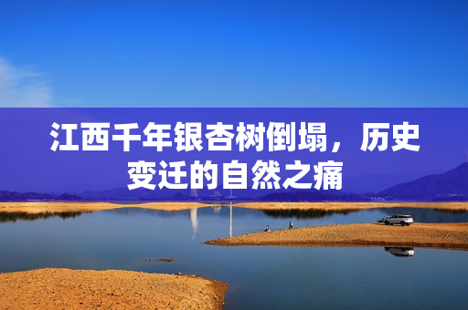 江西千年银杏树倒塌，历史变迁的自然之痛