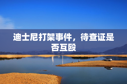 迪士尼打架事件，待查证是否互殴