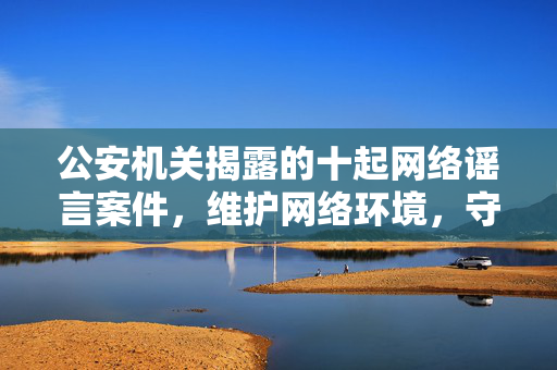 公安机关揭露的十起网络谣言案件，维护网络环境，守护社会正义的行动