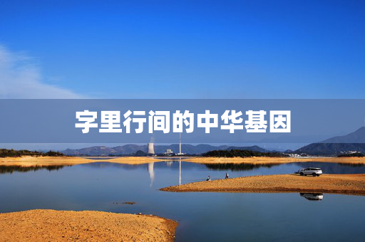 字里行间的中华基因