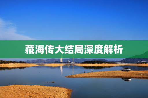 藏海传大结局深度解析