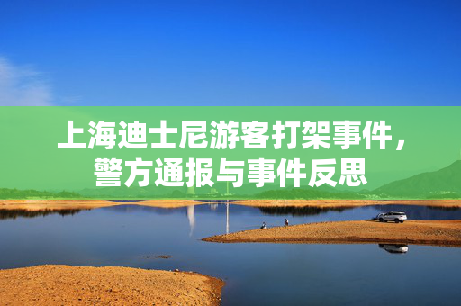 上海迪士尼游客打架事件，警方通报与事件反思