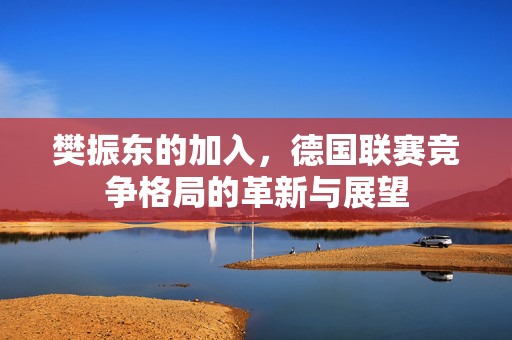 樊振东的加入，德国联赛竞争格局的革新与展望