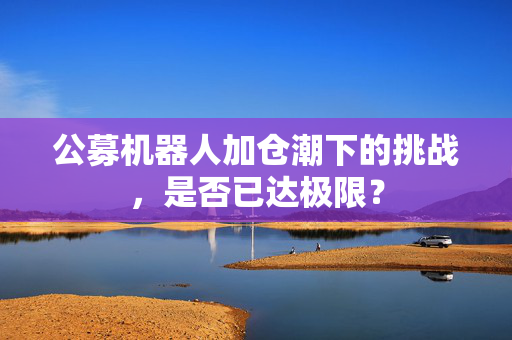 公募机器人加仓潮下的挑战，是否已达极限？