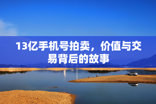 13亿手机号拍卖，价值与交易背后的故事