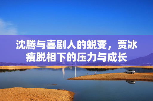 沈腾与喜剧人的蜕变，贾冰瘦脱相下的压力与成长
