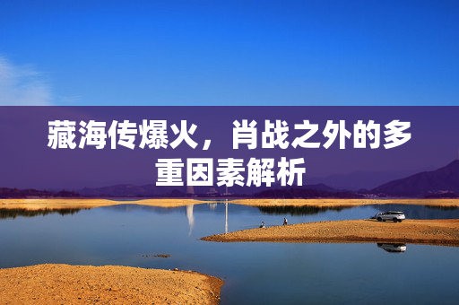 藏海传爆火，肖战之外的多重因素解析