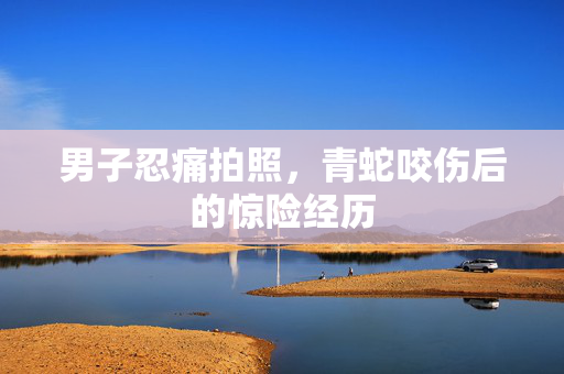 男子忍痛拍照，青蛇咬伤后的惊险经历