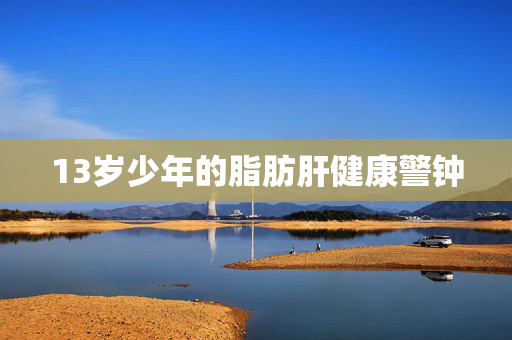 13岁少年的脂肪肝健康警钟