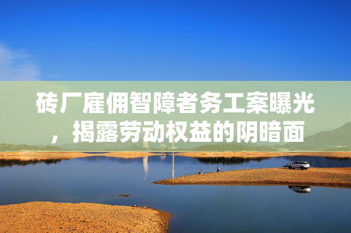 砖厂雇佣智障者务工案曝光，揭露劳动权益的阴暗面
