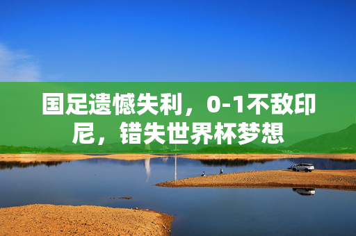 国足遗憾失利，0-1不敌印尼，错失世界杯梦想