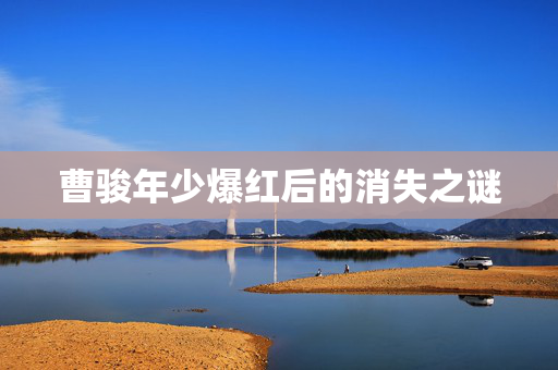 曹骏年少爆红后的消失之谜