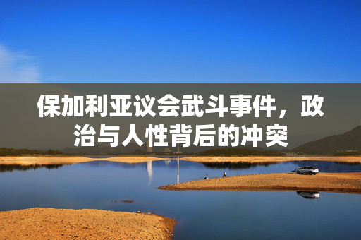 保加利亚议会武斗事件，政治与人性背后的冲突