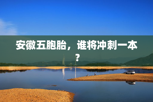 安徽五胞胎，谁将冲刺一本？