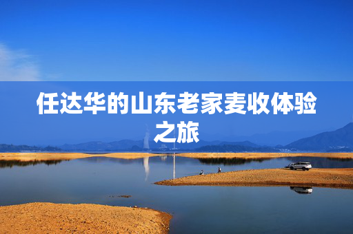 任达华的山东老家麦收体验之旅