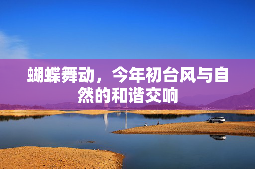 蝴蝶舞动，今年初台风与自然的和谐交响