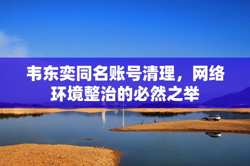 韦东奕同名账号清理，网络环境整治的必然之举