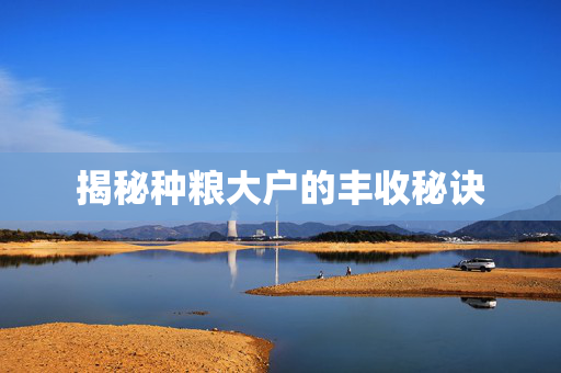 揭秘种粮大户的丰收秘诀