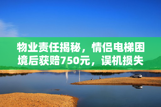 物业责任揭秘，情侣电梯困境后获赔750元，误机损失如何定责？