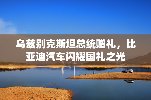 乌兹别克斯坦总统赠礼，比亚迪汽车闪耀国礼之光
