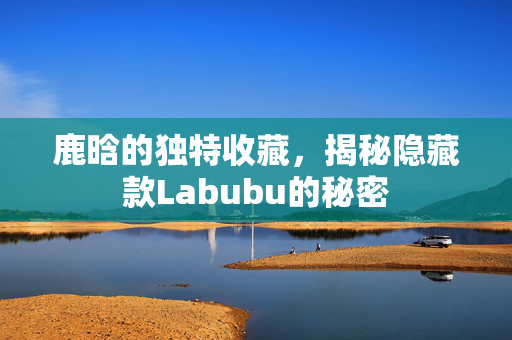 鹿晗的独特收藏，揭秘隐藏款Labubu的秘密