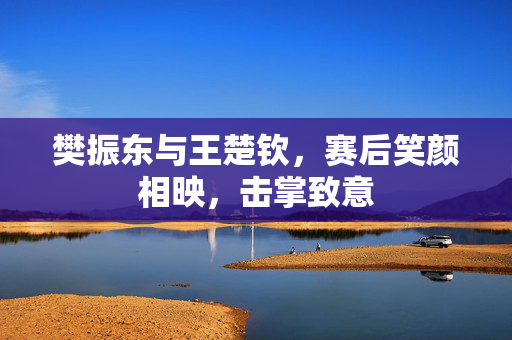 樊振东与王楚钦，赛后笑颜相映，击掌致意