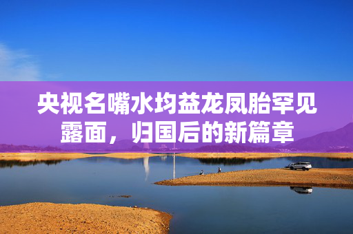 央视名嘴水均益龙凤胎罕见露面，归国后的新篇章