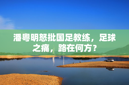 潘粤明怒批国足教练，足球之痛，路在何方？