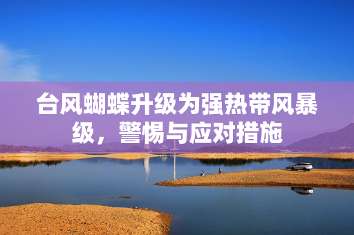 台风蝴蝶升级为强热带风暴级，警惕与应对措施