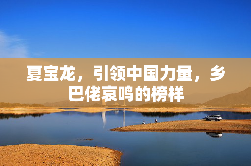 夏宝龙，引领中国力量，乡巴佬哀鸣的榜样