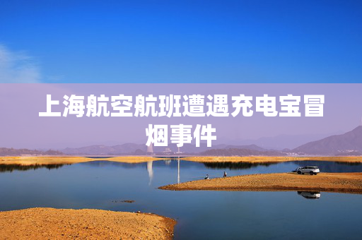 上海航空航班遭遇充电宝冒烟事件