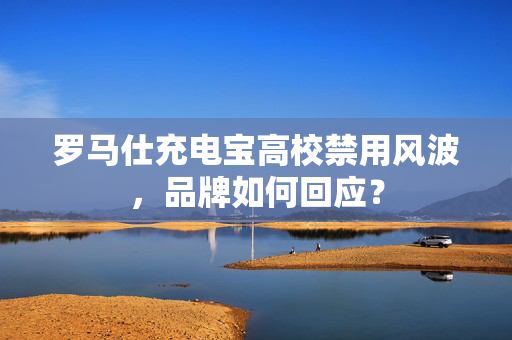 罗马仕充电宝高校禁用风波，品牌如何回应？