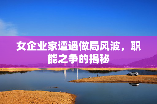 女企业家遭遇做局风波，职能之争的揭秘