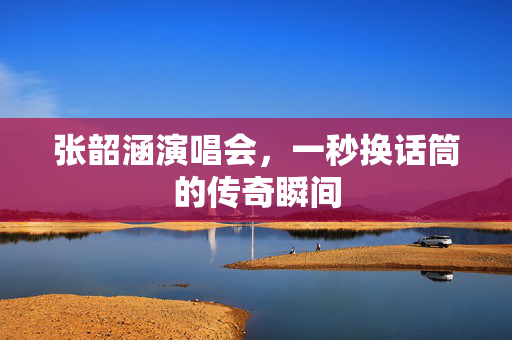 张韶涵演唱会，一秒换话筒的传奇瞬间
