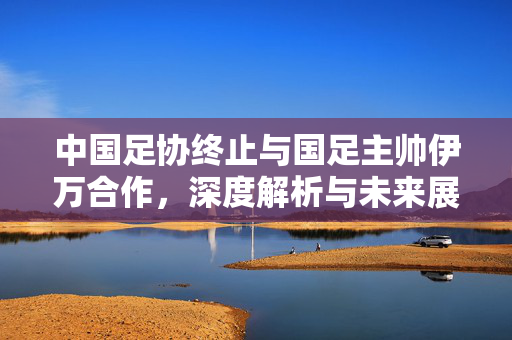 中国足协终止与国足主帅伊万合作，深度解析与未来展望