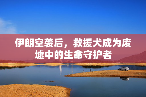 伊朗空袭后，救援犬成为废墟中的生命守护者