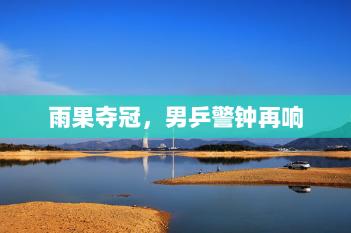 雨果夺冠，男乒警钟再响