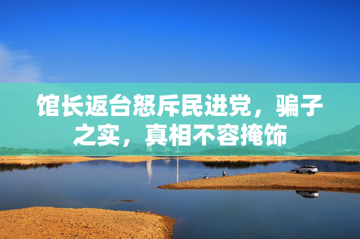 馆长返台怒斥民进党，骗子之实，真相不容掩饰
