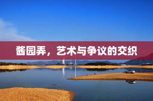 酱园弄，艺术与争议的交织