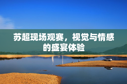 苏超现场观赛，视觉与情感的盛宴体验