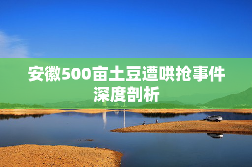 安徽500亩土豆遭哄抢事件深度剖析