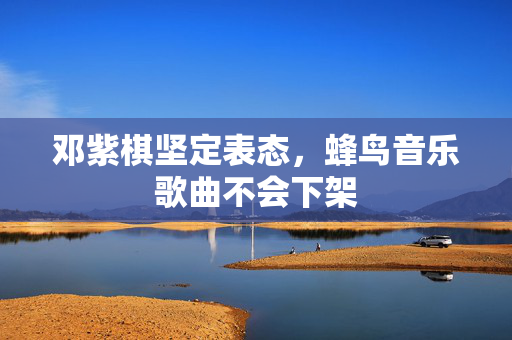 邓紫棋坚定表态，蜂鸟音乐歌曲不会下架