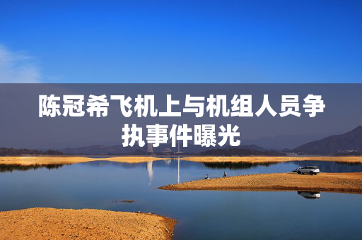 陈冠希飞机上与机组人员争执事件曝光